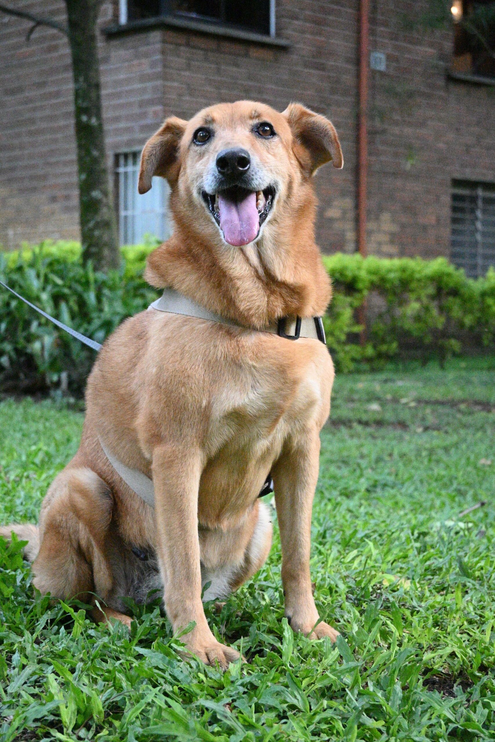 Foto de Monita
