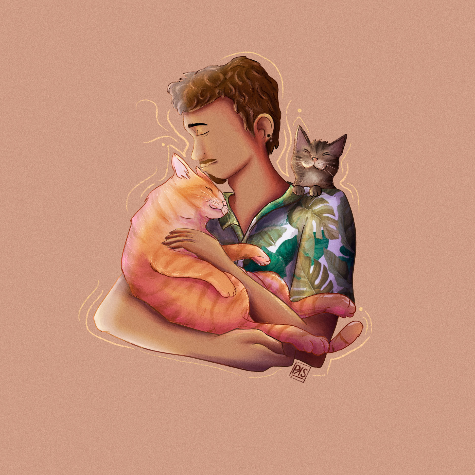 David y gatos