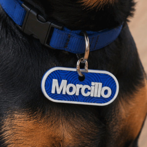 Morcillo